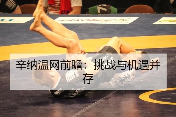 辛纳温网前瞻：挑战与机遇并存